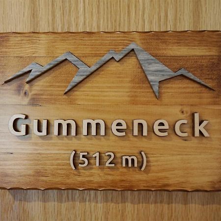 Gummeneck - Stubenhof, Black Forest シモンスヴァルト エクステリア 写真