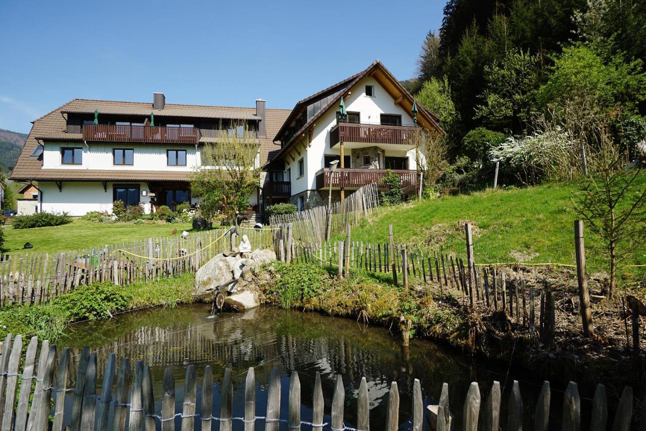 Gummeneck - Stubenhof, Black Forest シモンスヴァルト エクステリア 写真