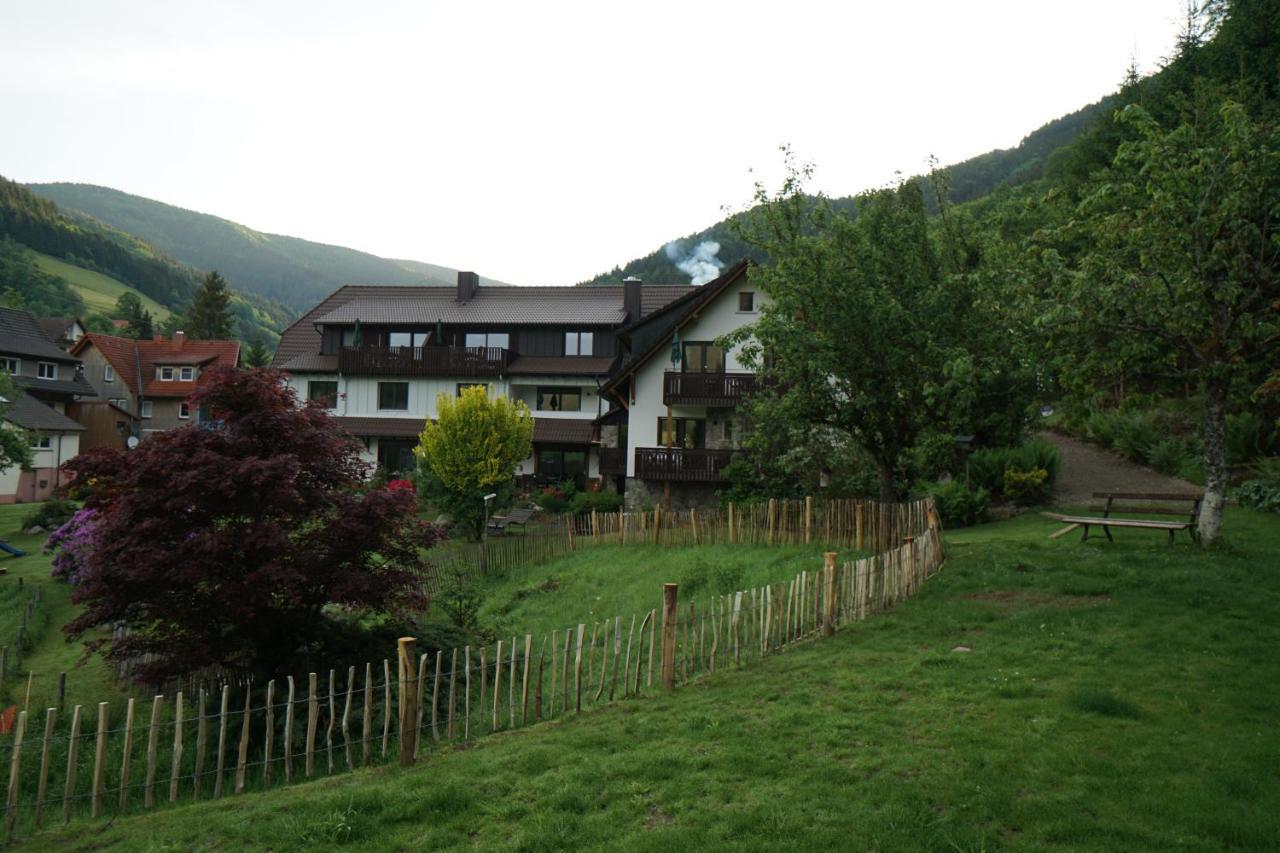 Gummeneck - Stubenhof, Black Forest シモンスヴァルト エクステリア 写真