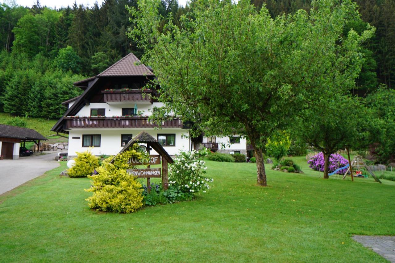 Gummeneck - Stubenhof, Black Forest シモンスヴァルト エクステリア 写真
