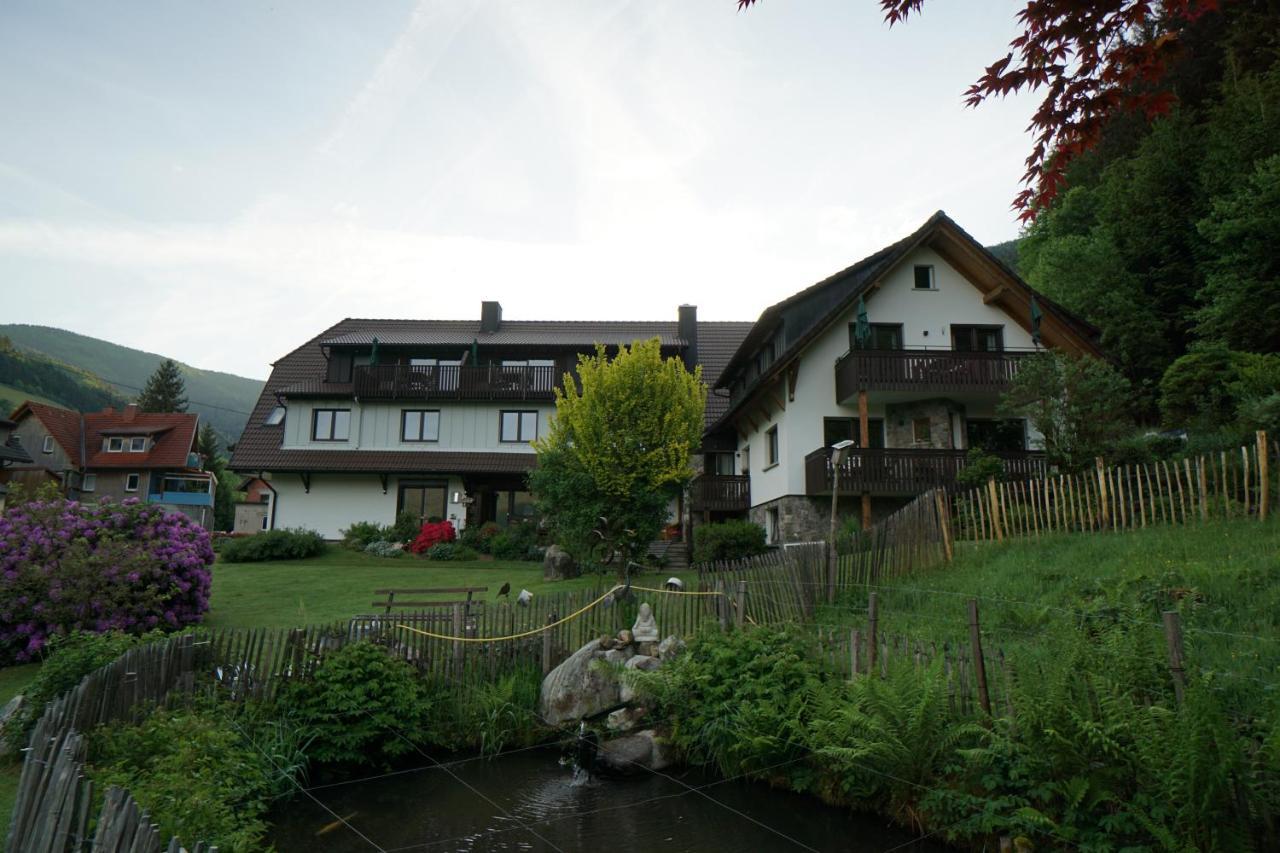 Gummeneck - Stubenhof, Black Forest シモンスヴァルト エクステリア 写真